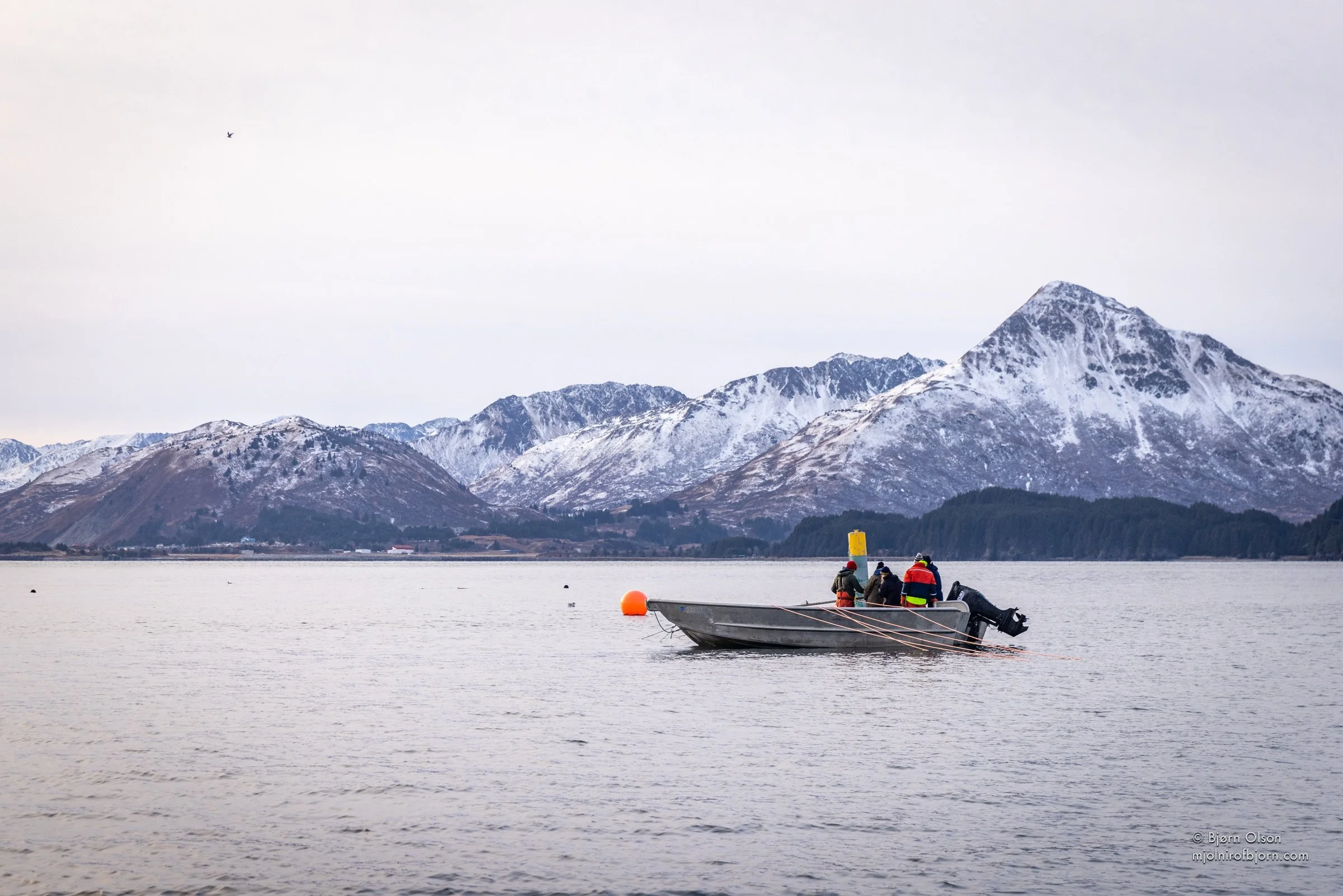 Intro to Kelp — GreenWave